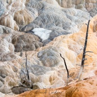 Parc Yellowstone: Mammoth hotsprings terraces