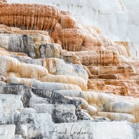 Parc Yellowstone: Mammoth hotsprings terraces