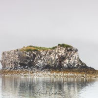 Paysage dans le Fjord de Uyak