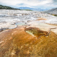 Parc Yellowstone: Mammoth hotsprings terraces