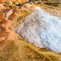 Parc Yellowstone: Mammoth hotsprings terraces