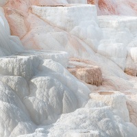 Parc Yellowstone: Mammoth hotsprings terraces