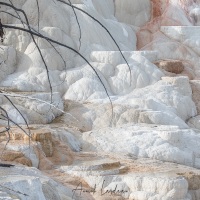 Parc Yellowstone: Mammoth hotsprings terraces