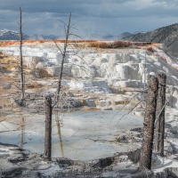 Parc Yellowstone: Mammoth hotsprings terraces