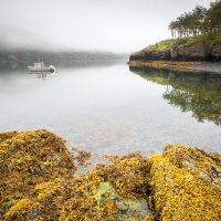 Fjord de Uyak: baie sur notre ilot