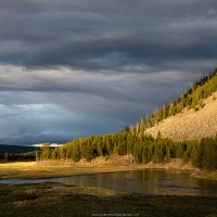 Eclairage du soir sur la plaine et la Madison river