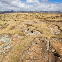 Paysage sur le haut-plateau