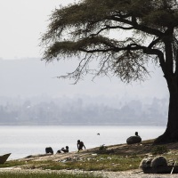 Scène de vie sur les berges du lac Awassa