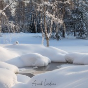 Paysage hivernal