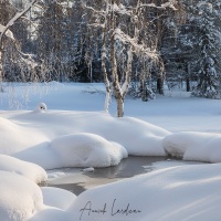 Paysage hivernal