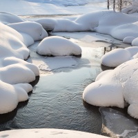 Paysage hivernal