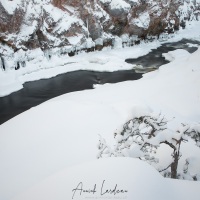 Parc Oulanka: paysage hivernal