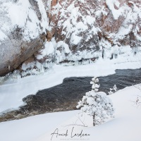 Parc Oulanka: paysage hivernal