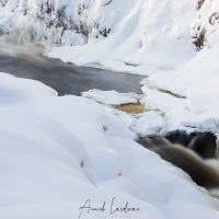 Parc Oulanka: paysage hivernal