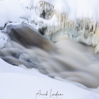 Parc Oulanka: paysage hivernal