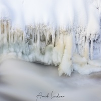 Parc Oulanka: paysage hivernal