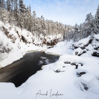 Parc Oulanka: paysage hivernal