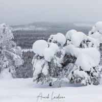 Paysage sous la neige