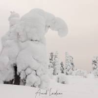 Paysage sous la neige