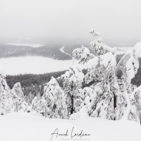 Paysage sous la neige