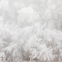 Givre