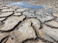 Salin asséché