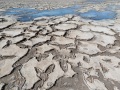 Salin asséché