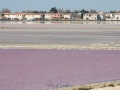 Les Salins de Giraud