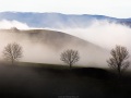 Brouillard matinal
