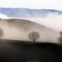 Brouillard matinal