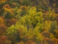Couleurs d