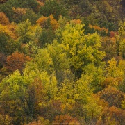 Couleurs d'automne