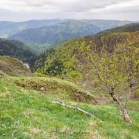 Vue depuis le Hohneck