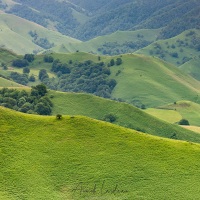 Pays basque: collines verdoyantes