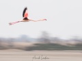 119_E9A6155