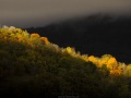Eclairaage de fin de journée sur le grand Colombier