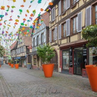 Barr: rue décorée