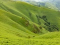 Pays basque: collines verdoyantes