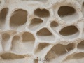 Détail de l