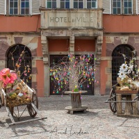 Barr: décoration de Pâques