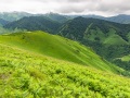 Pays basque: collines verdoyantes