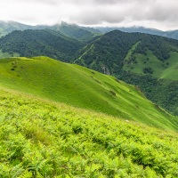 Pays basque: collines verdoyantes