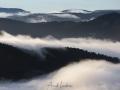 Brouillard matinal