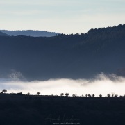 Brouillard matinal