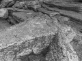 Rochers à marée basse