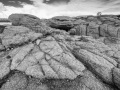 Rochers à marée basse