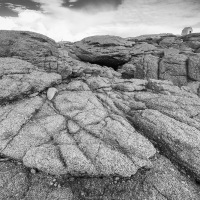 Rochers à marée basse