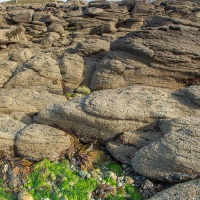 Rochers à marée basse