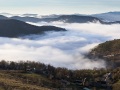 Brouillard matinal