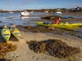 Avirons dans un petit port à marée basse